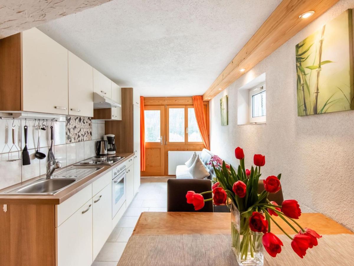 Apartment In The Silvretta-Montafon Ski Area St. Gallenkirch Zewnętrze zdjęcie