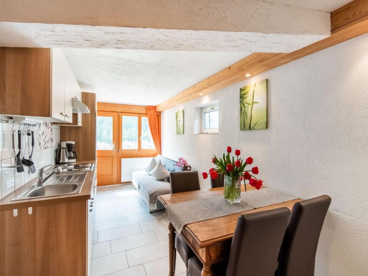 Apartment In The Silvretta-Montafon Ski Area St. Gallenkirch Zewnętrze zdjęcie