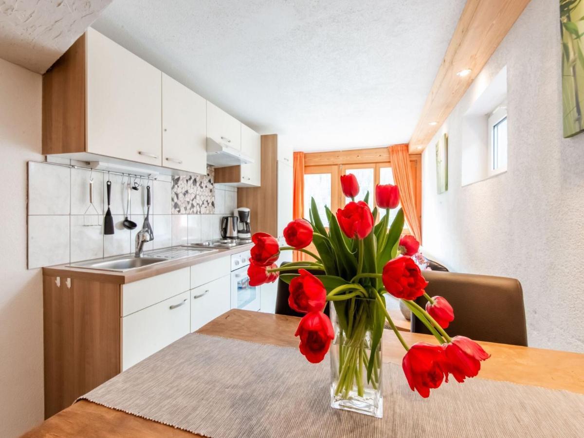 Apartment In The Silvretta-Montafon Ski Area St. Gallenkirch Zewnętrze zdjęcie